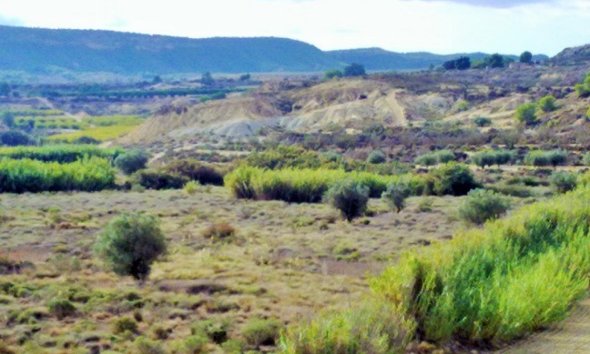 Gensalg - Land -
Torremendo