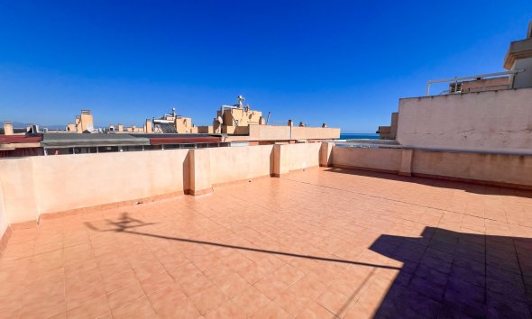 Gensalg - apartment -
Guardamar del Segura - Playa Centro Guardamar