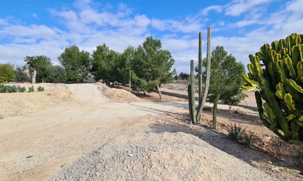 Gensalg - Villa -
Orihuela - La Matanza