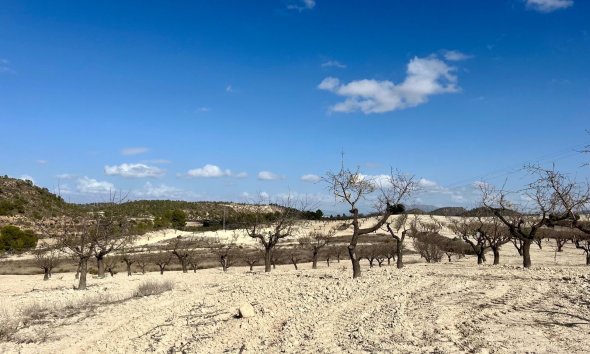 Reventa - Land -
BULLAS - Costa Calida