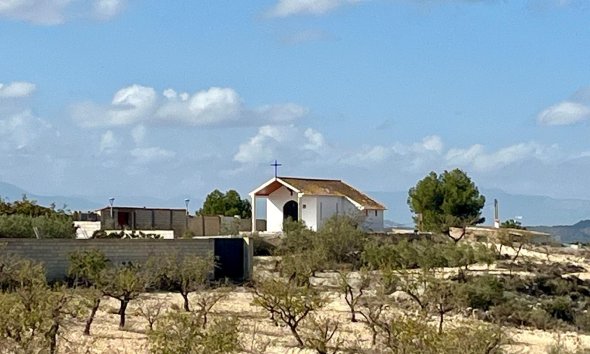 Reventa - Land -
BULLAS - Costa Calida