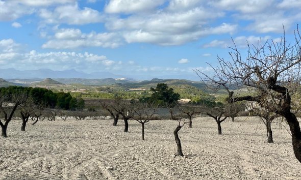 Reventa - Land -
BULLAS - Costa Calida