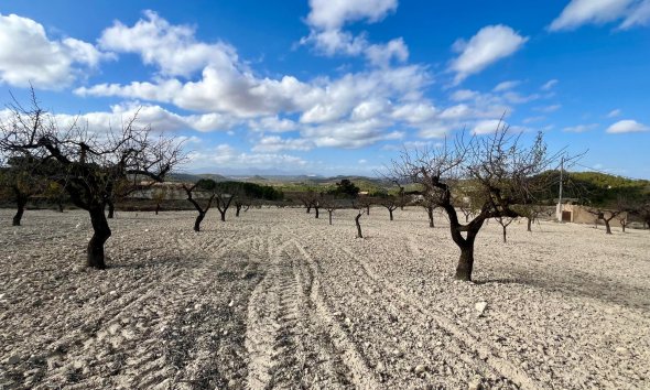 Reventa - Land -
BULLAS - Costa Calida