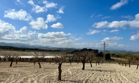 Reventa - Land -
BULLAS - Costa Calida