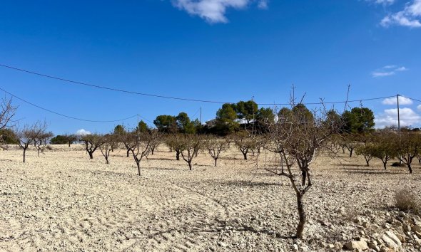 Reventa - Land -
BULLAS - Costa Calida