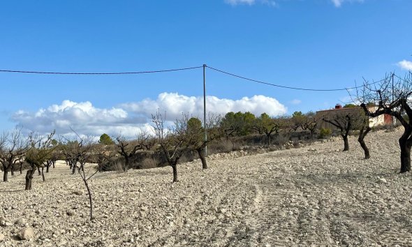 Reventa - Land -
BULLAS - Costa Calida