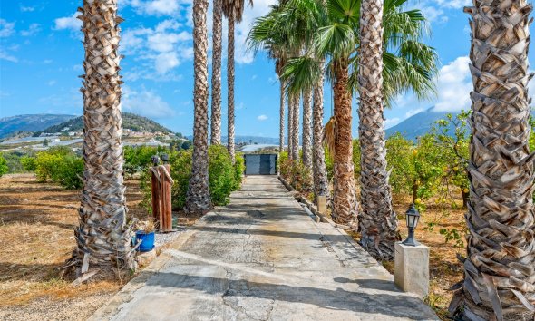 Reventa - Country House -
La Nucía