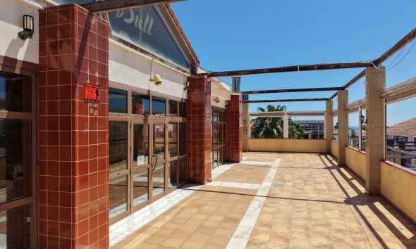 Gensalg - Commercial (Freehold) -
Orihuela Costa - Los Dolses
