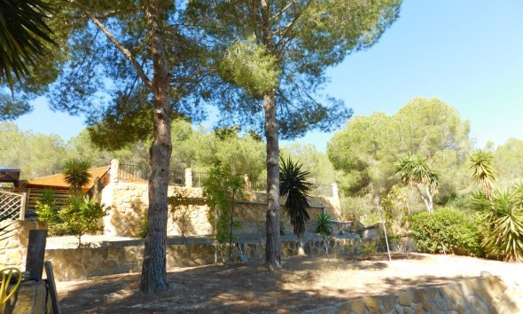 Resale - Country House -
Torremendo
