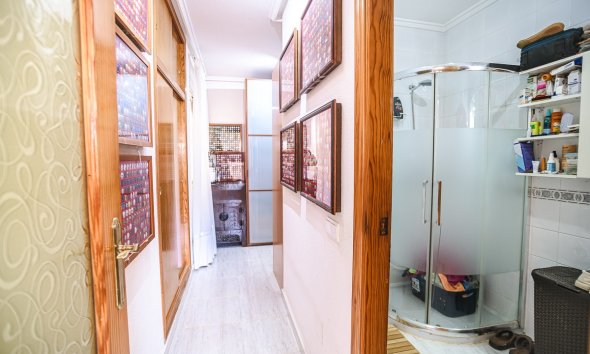 Gensalg - apartment -
Alicante - La Florida