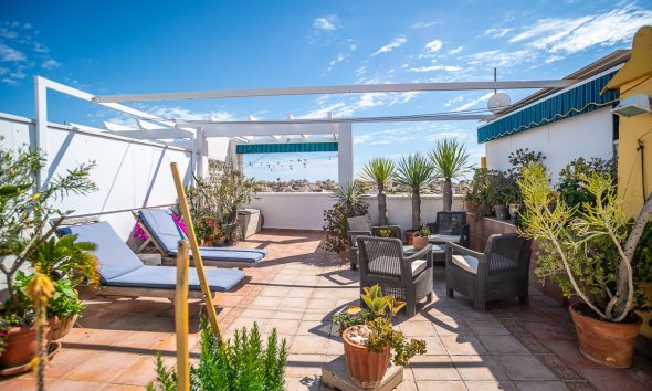 Gensalg - apartment -
Alicante - La Florida