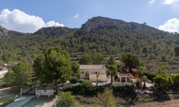 Resale - Villa -
La Zarza
