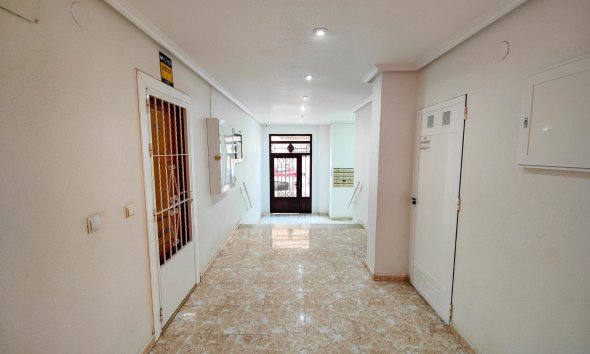Gensalg - apartment -
Torrevieja - Antonio Machado