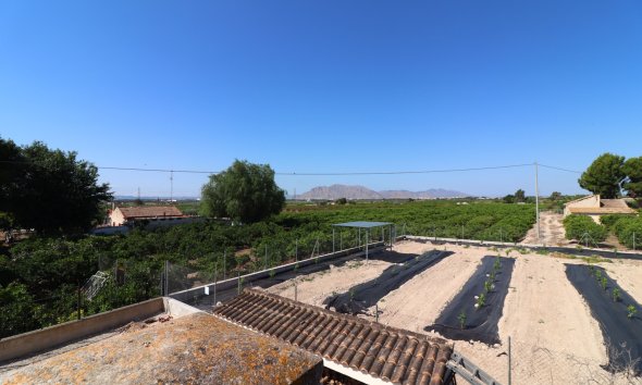 Gensalg - Country House -
Albatera - Albatera - Country