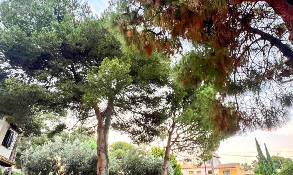 Resale - Villa -
Orihuela Costa - Punta Prima
