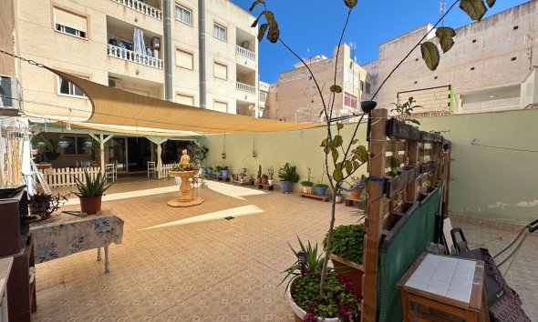 Gensalg - apartment -
Torrevieja - Center
