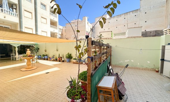 Gensalg - apartment -
Torrevieja - Center
