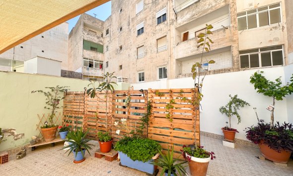 Gensalg - apartment -
Torrevieja - Center
