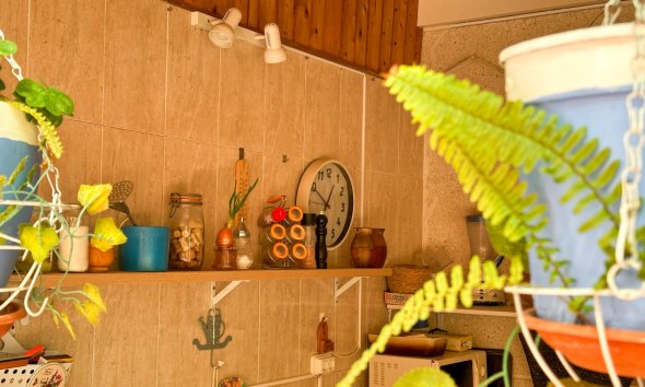 Gensalg - apartment -
Torrevieja - Center