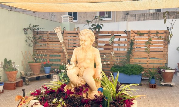 Gensalg - apartment -
Torrevieja - Center