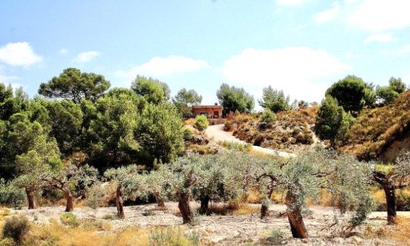 Reventa - Villa -
Murcia - Costa Blanca