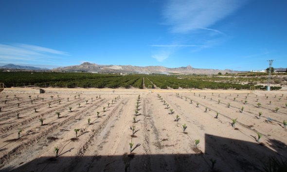 Gensalg - Country House -
Murcia - Costa Blanca
