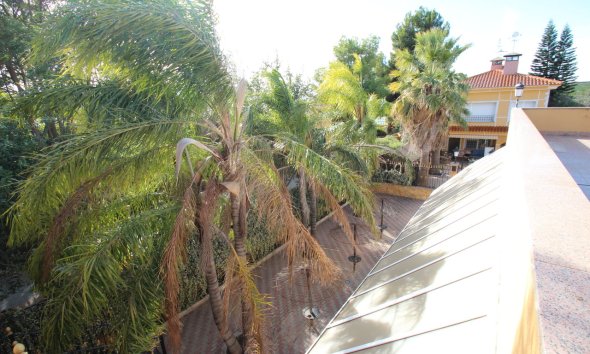 Gensalg - Country House -
Murcia - Costa Blanca