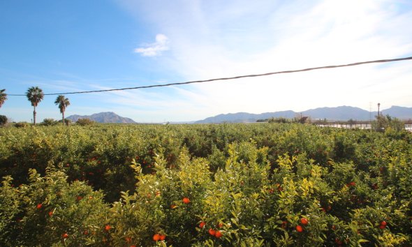 Gensalg - Country House -
Murcia - Costa Blanca