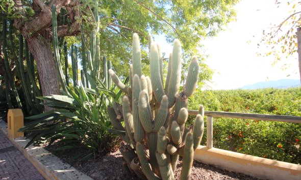 Gensalg - Country House -
Murcia - Costa Blanca
