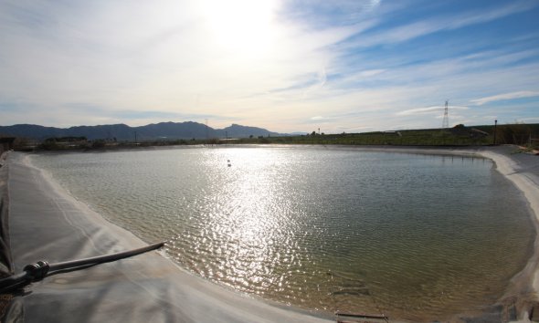 Gensalg - Country House -
Murcia - Costa Blanca