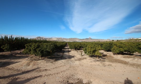 Gensalg - Country House -
Murcia - Costa Blanca
