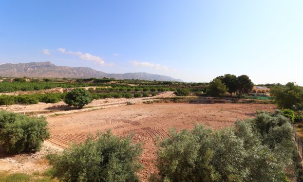 Gensalg - Country House -
Albatera - Albatera - Country