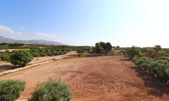 Gensalg - Country House -
Albatera - Albatera - Country