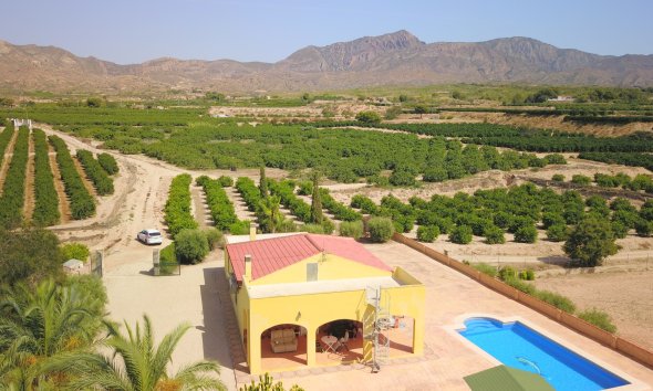 Gensalg - Country House -
Albatera - Albatera - Country