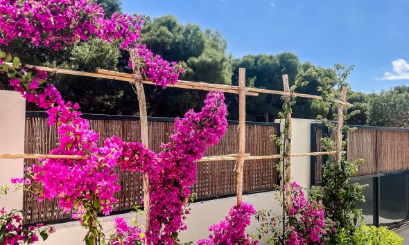 Gensalg - apartment -
San Javier - Santiago de la Ribera