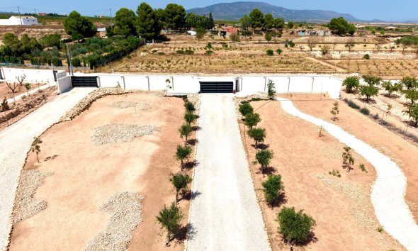 Resale - Villa -
Pinoso