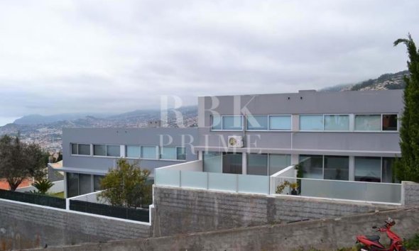 Gensalg - Land -
Madeira