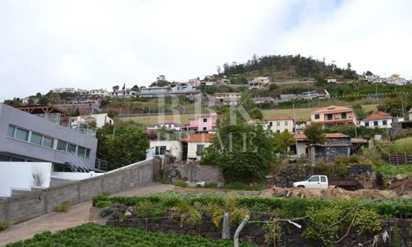 Gensalg - Land -
Madeira