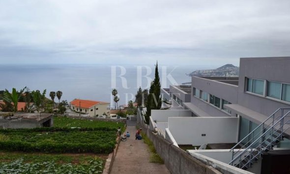 Gensalg - Land -
Madeira