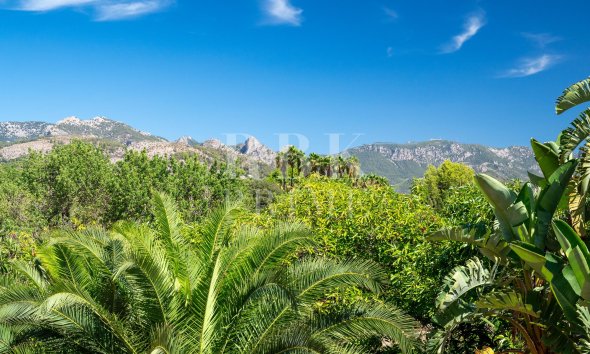 Gensalg - Country House -
Palma - Palma rural
