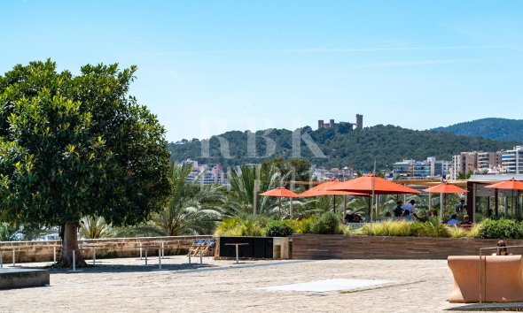 Gensalg - apartment -
Palma - Santa Catalina