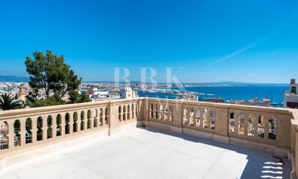 Gensalg - Palace -
Palma - El Terreno