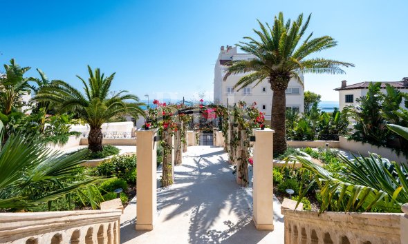 Gensalg - Palace -
Palma - El Terreno
