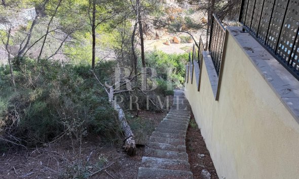 Gensalg - Land -
Calvià - Sol de Mallorca