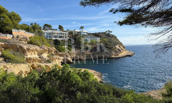 Gensalg - Land -
Calvià - Sol de Mallorca