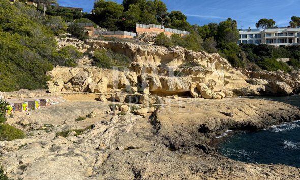 Gensalg - Land -
Calvià - Sol de Mallorca