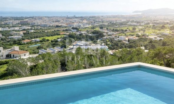 Gensalg - Land -
Eivissa - Ibiza - Illa Plana