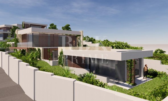 Gensalg - Land -
Eivissa - Ibiza - Illa Plana