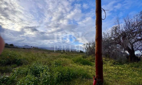 Reventa - Land -
Alcudia - Es Barcarás