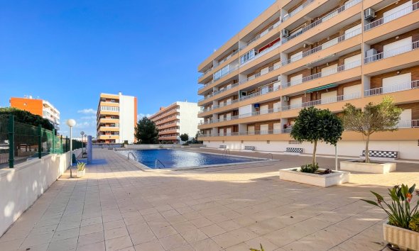 Gensalg - apartment -
Torrevieja - Punta Prima